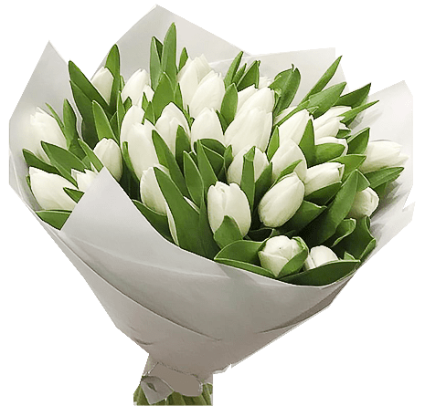 Закажите цветы "Люкс 255"